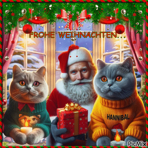 12277482_f4f0c_HEICATS