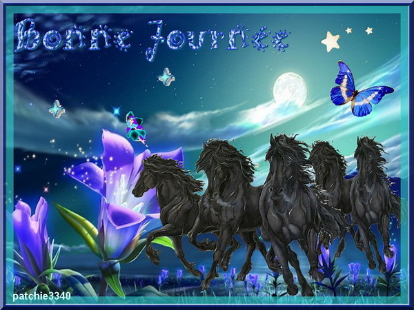 BONNE JOURNEE : BEAUX CHEVAUX NOIRS AU GALOP